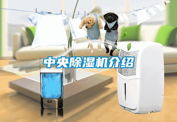 中央除湿机介绍