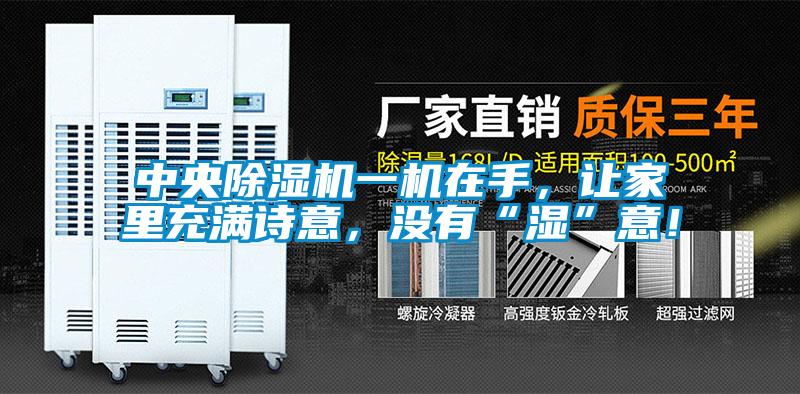 中央除湿机一机在手，让家里充满诗意，没有“湿”意！