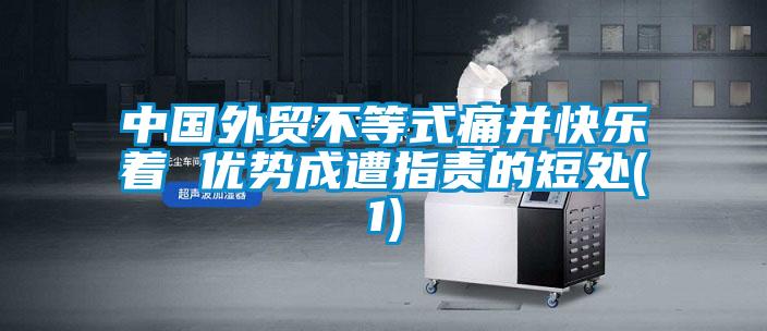 中国外贸不等式痛并快乐着 优势成遭指责的短处(1)