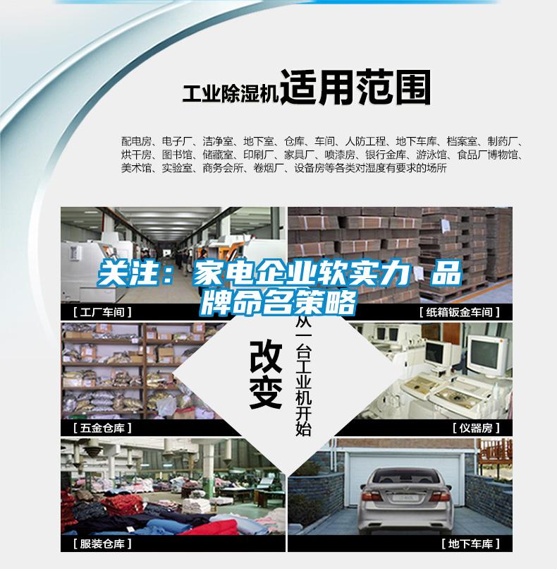 关注：家电企业软实力 品牌命名策略