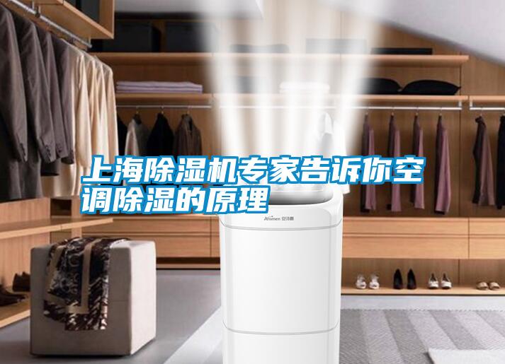 上海除湿机专家告诉你空调除湿的原理