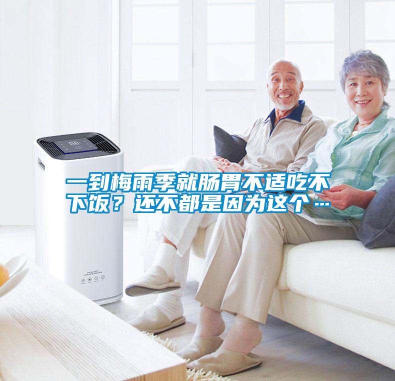 一到梅雨季就肠胃不适吃不下饭？还不都是因为这个…