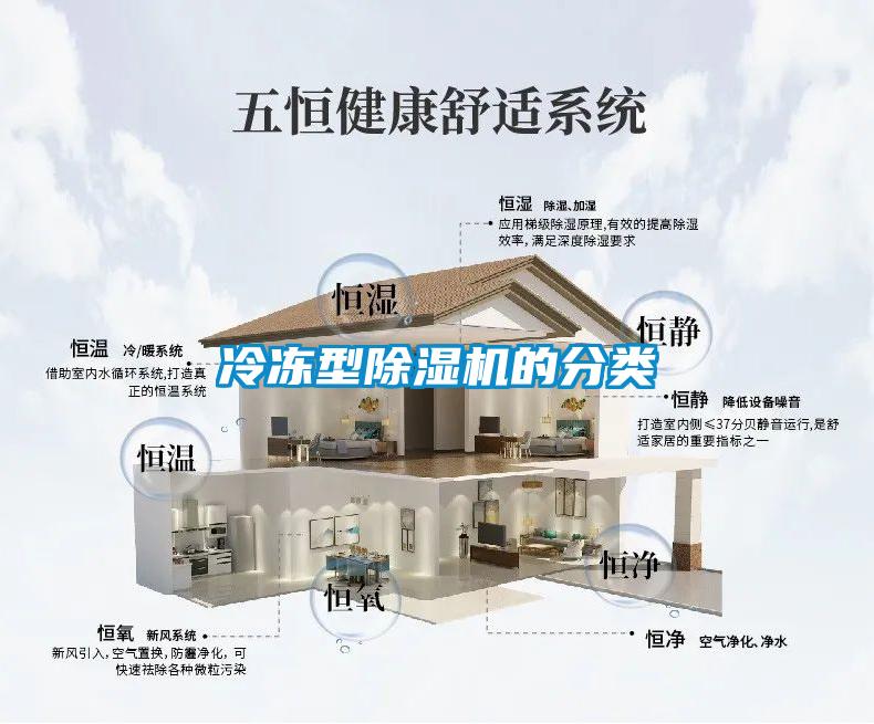 冷冻型除湿机的分类