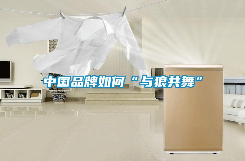 中国品牌如何“与狼共舞”