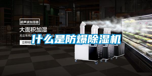 什么是防爆除湿机