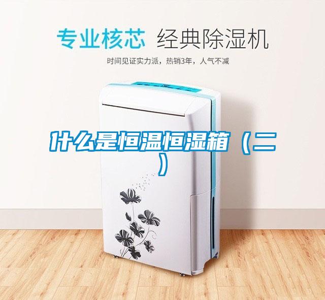 什么是恒温恒湿箱（二)