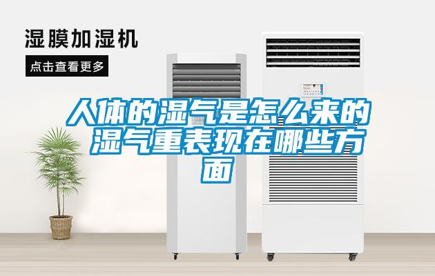人体的湿气是怎么来的 湿气重表现在哪些方面
