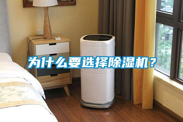 为什么要选择除湿机？