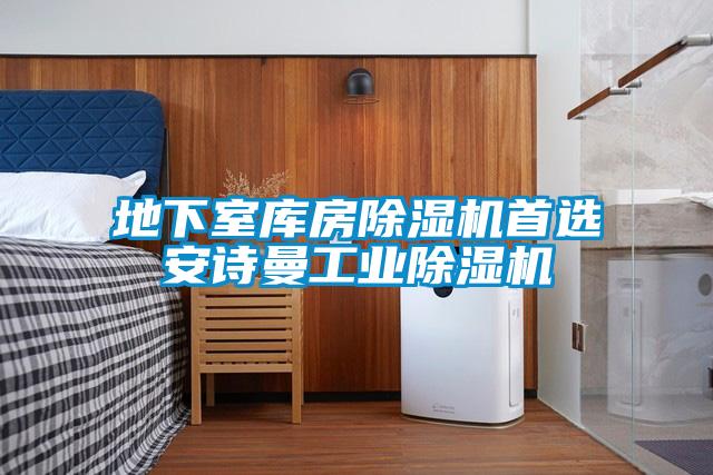 地下室库房除湿机首选安诗曼工业除湿机