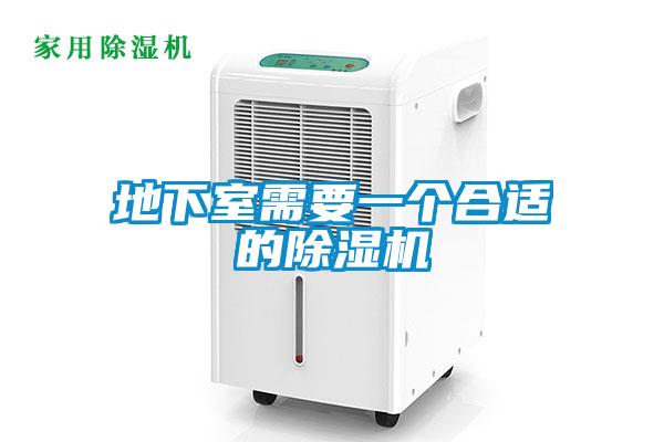 地下室需要一个合适的除湿机