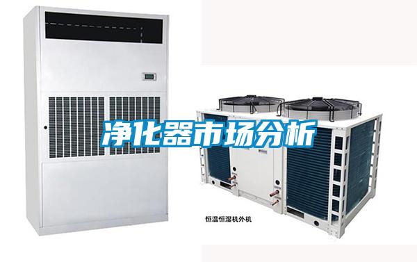 净化器市场分析