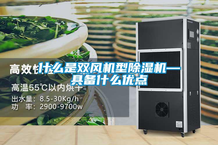 什么是双风机型除湿机—具备什么优点