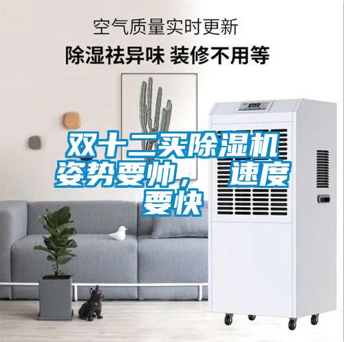双十二买除湿机姿势要帅， 速度要快