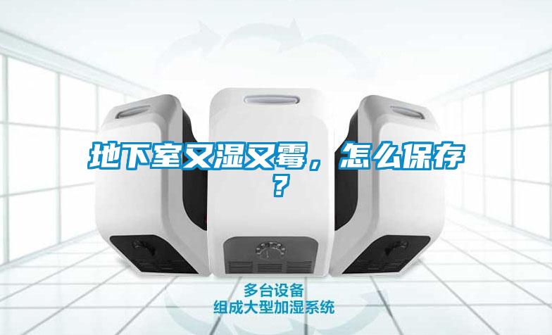 地下室又湿又霉，怎么保存？