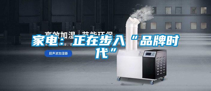 家电：正在步入“品牌时代”