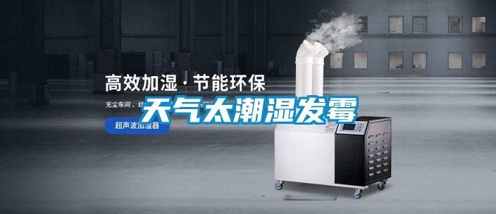 天气太潮湿发霉