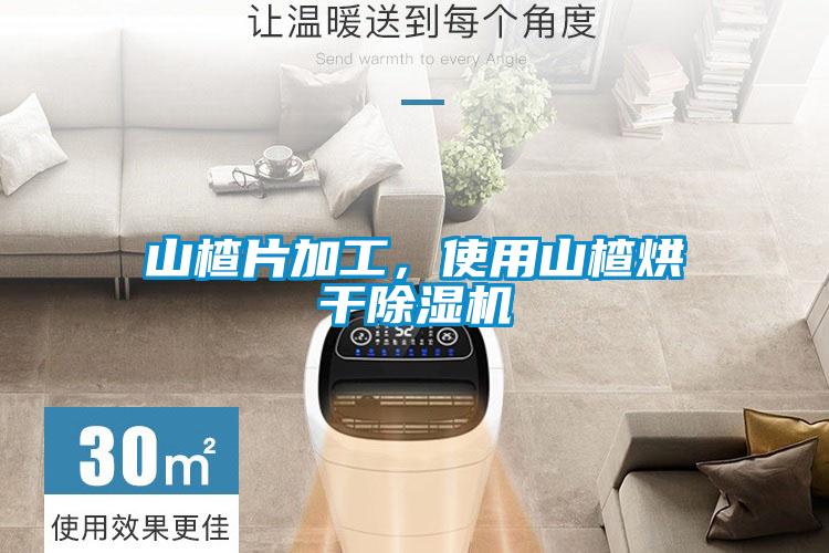 山楂片加工，使用山楂烘干除湿机