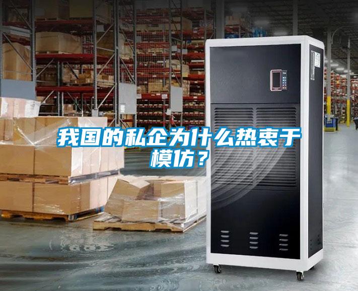 我国的私企为什么热衷于模仿？