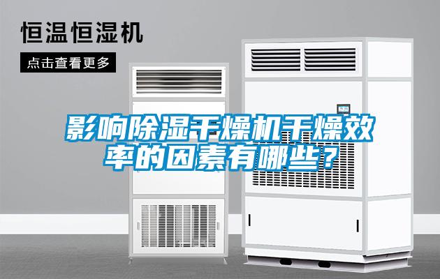 影响除湿干燥机干燥效率的因素有哪些？