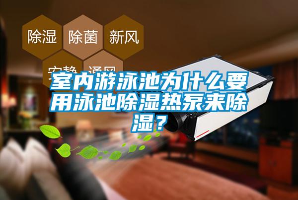 室内游泳池为什么要用泳池除湿热泵来除湿?