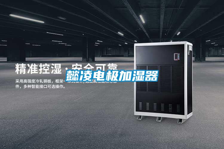 懿凌电极加湿器