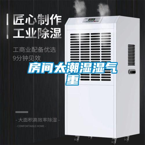 房间太潮湿湿气重