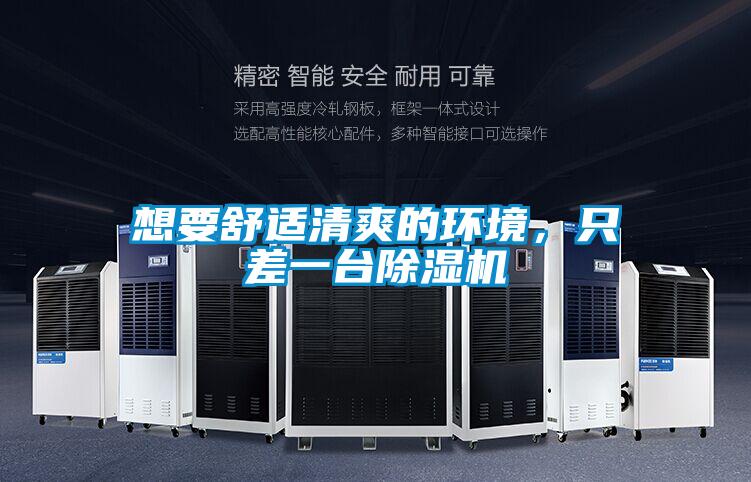 想要舒适清爽的环境，只差一台除湿机