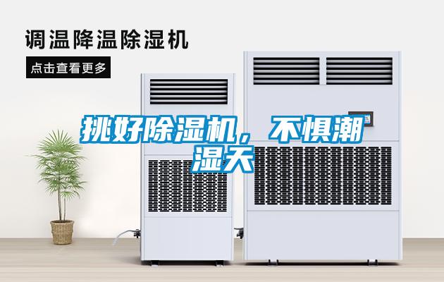 挑好除湿机，不惧潮湿天