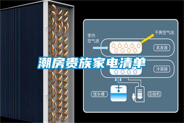 潮房贵族家电清单