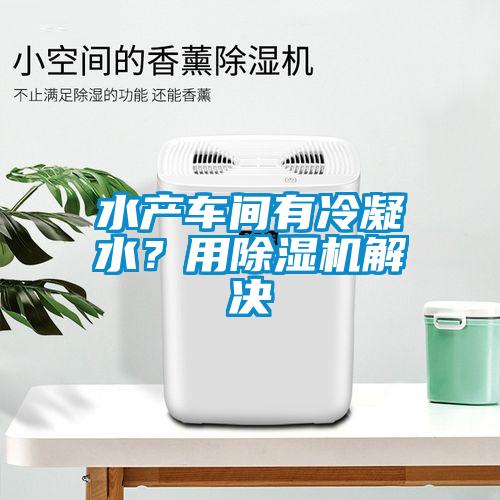 水产车间有冷凝水？用除湿机解决