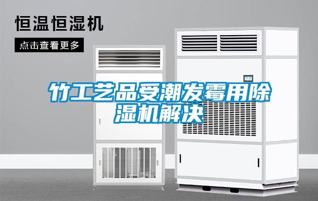竹工艺品受潮发霉用除湿机解决