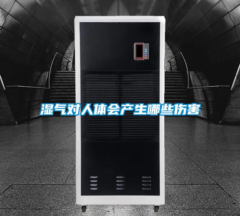 湿气对人体会产生哪些伤害
