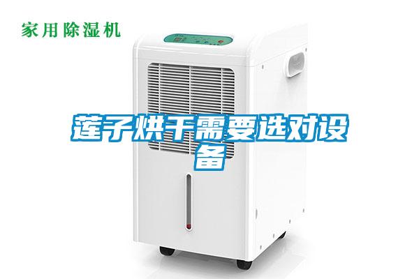 莲子烘干需要选对设备