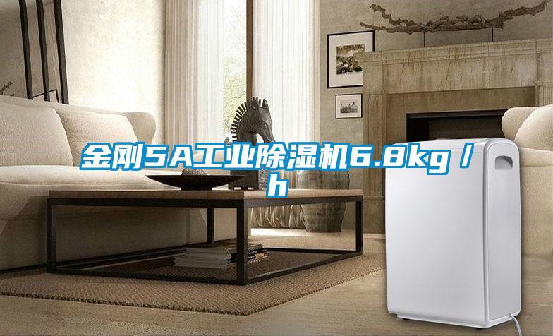 金刚5A工业除湿机6.8kg／h