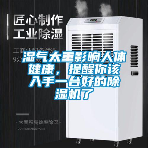 湿气太重影响人体健康，提醒你该入手一台好的除湿机了