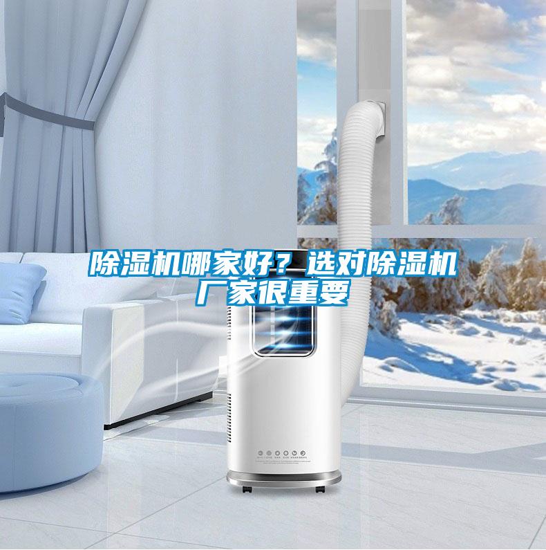 除湿机哪家好？选对除湿机厂家很重要