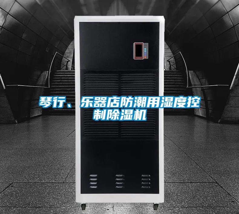 琴行、乐器店防潮用湿度控制除湿机