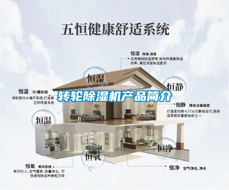 转轮除湿机产品简介