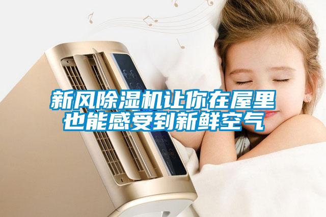 新风除湿机让你在屋里也能感受到新鲜空气