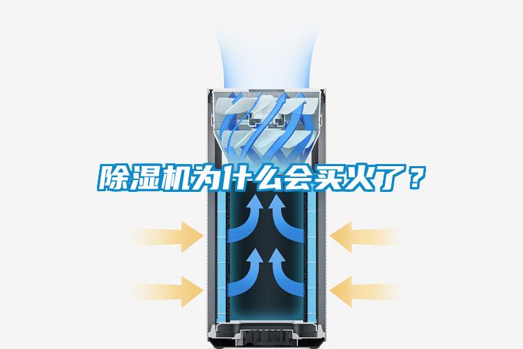 除湿机为什么会买火了？