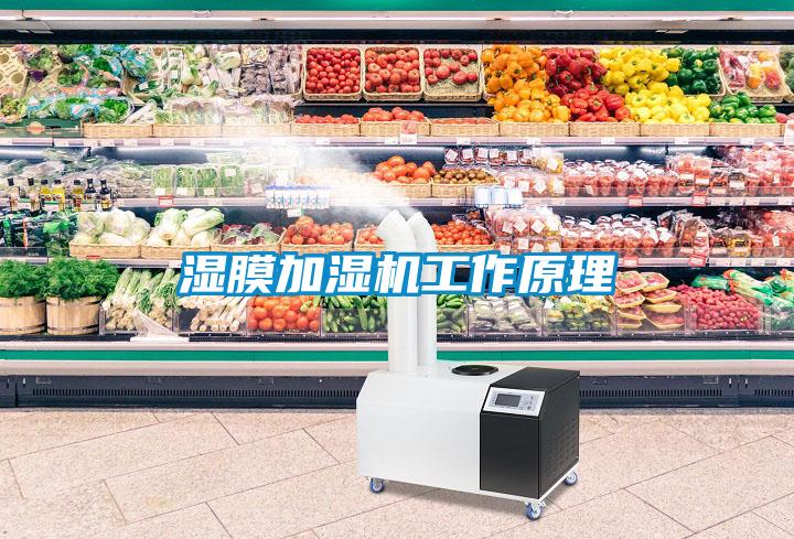 湿膜加湿机工作原理
