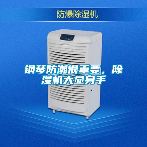 钢琴防潮很重要，除湿机大显身手