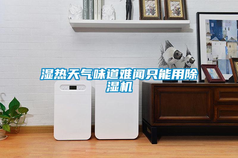 湿热天气味道难闻只能用除湿机