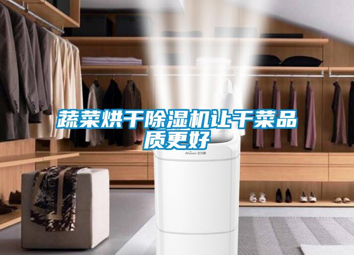 蔬菜烘干除湿机让干菜品质更好