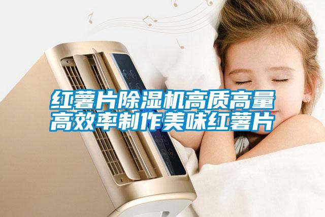 红薯片除湿机高质高量高效率制作美味红薯片