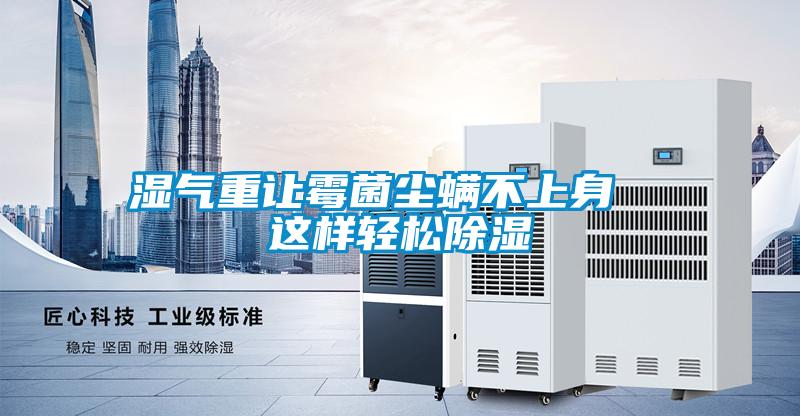 湿气重让霉菌尘螨不上身  这样轻松除湿
