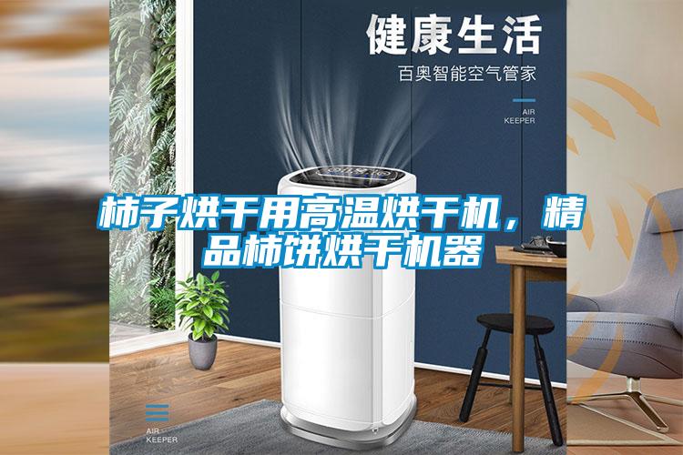 柿子烘干用高温烘干机,精品柿饼烘干机器