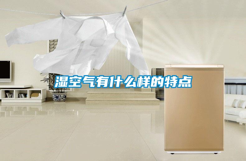 湿空气有什么样的特点