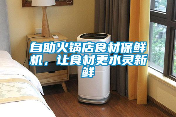 自助火锅店食材保鲜机，让食材更水灵新鲜