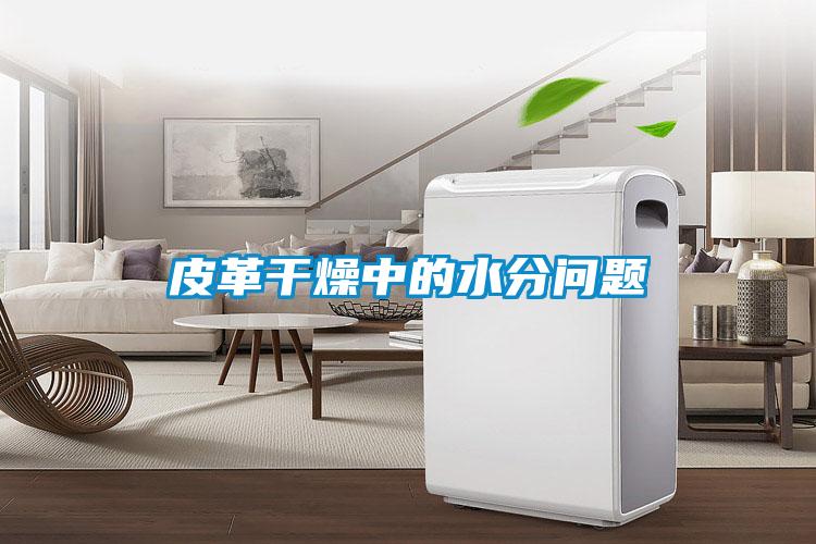 皮革干燥中的水分问题